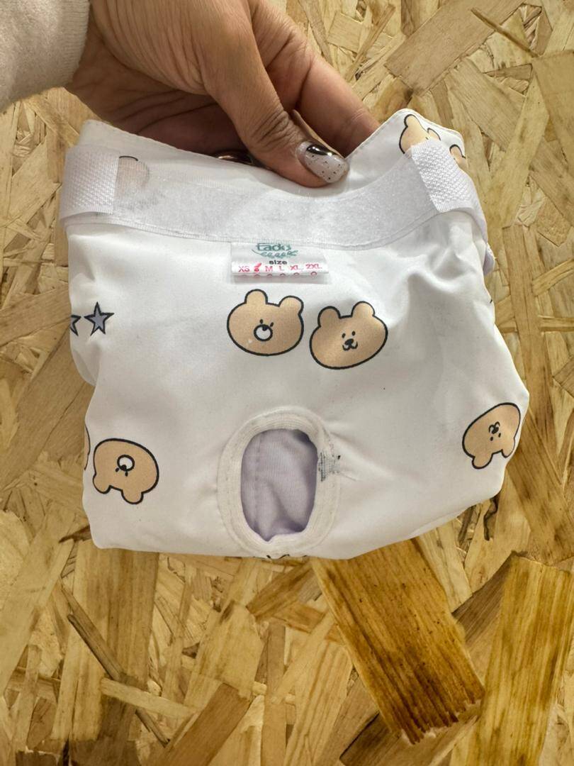 شورتکس سگ ماده تادو